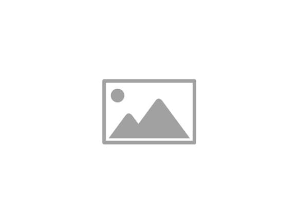 Call Forwarding and Call Transfer
